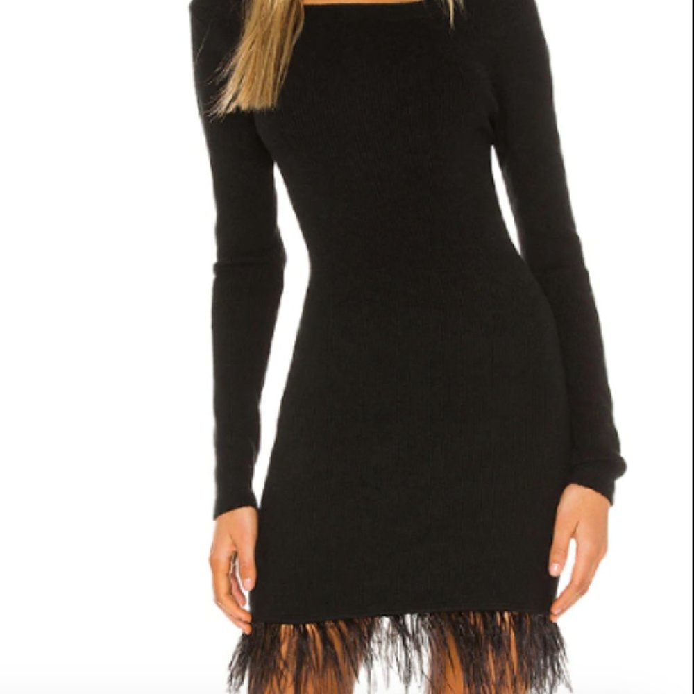 Lovers and friends medici feather dress